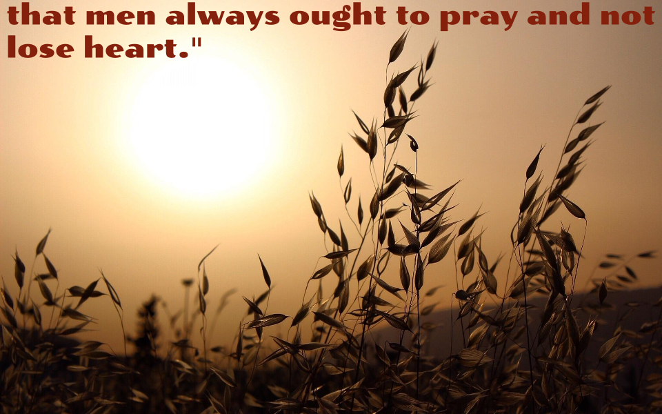 Have you ever lost heart in prayer?